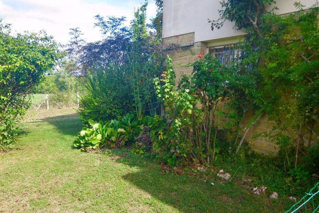 Les Petits Self Contained 2 Bedroom Apartment Molieres (Dordogne) المظهر الخارجي الصورة